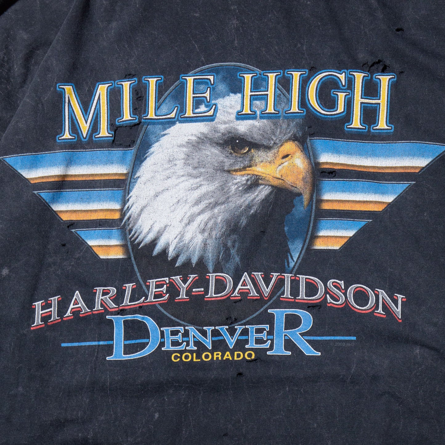 vintage harley davidson broken l/s