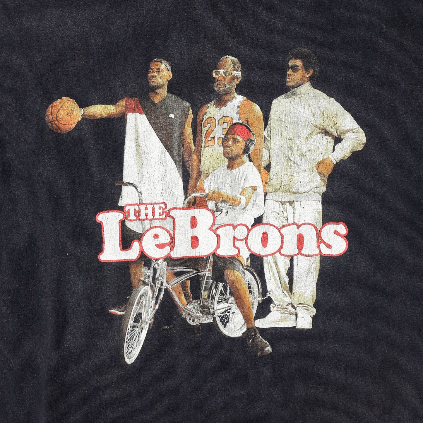 vintage 00's nike Lebron James "THE LeBrons" t-shirt