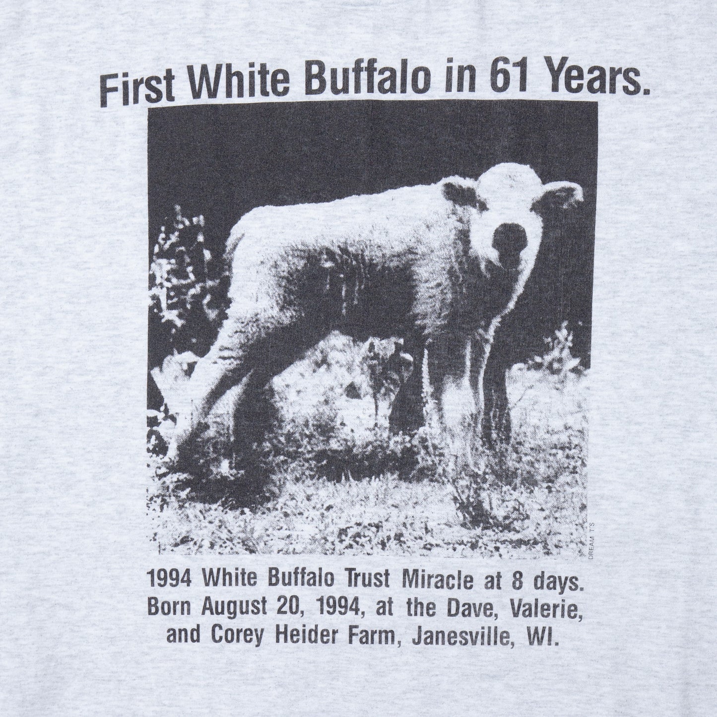 vintage 90's white buffalo t-shirt