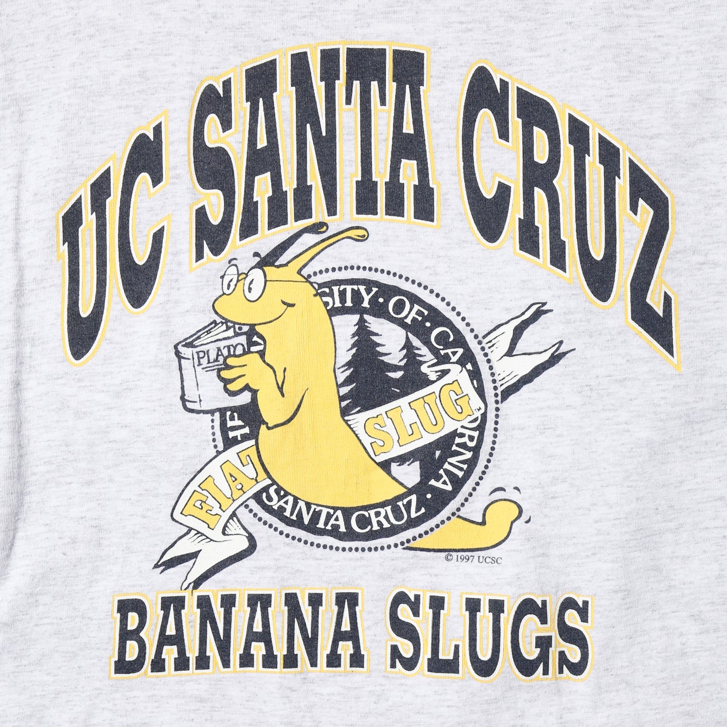 vintage 1997's UC Santa Cruz Banana Slugs t-shirt