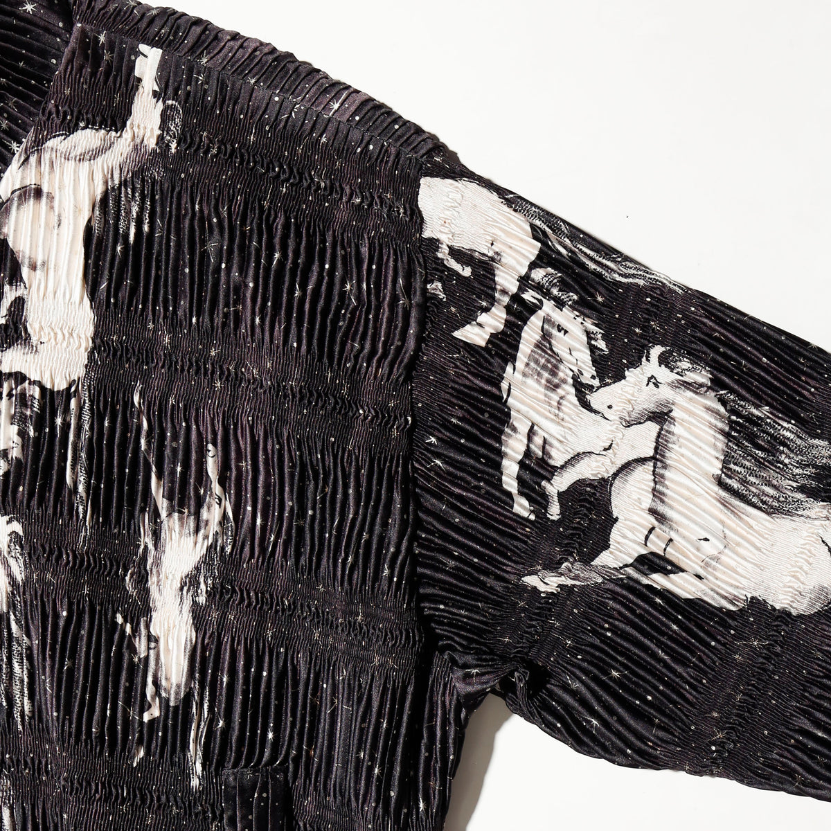 vintage galaxy horse pleats jacket