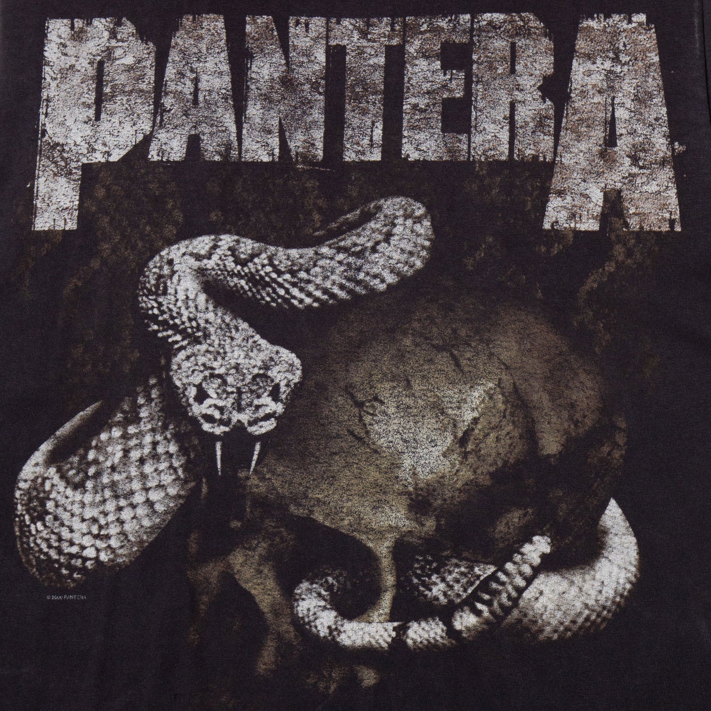vintage just2000's Pantera n/s