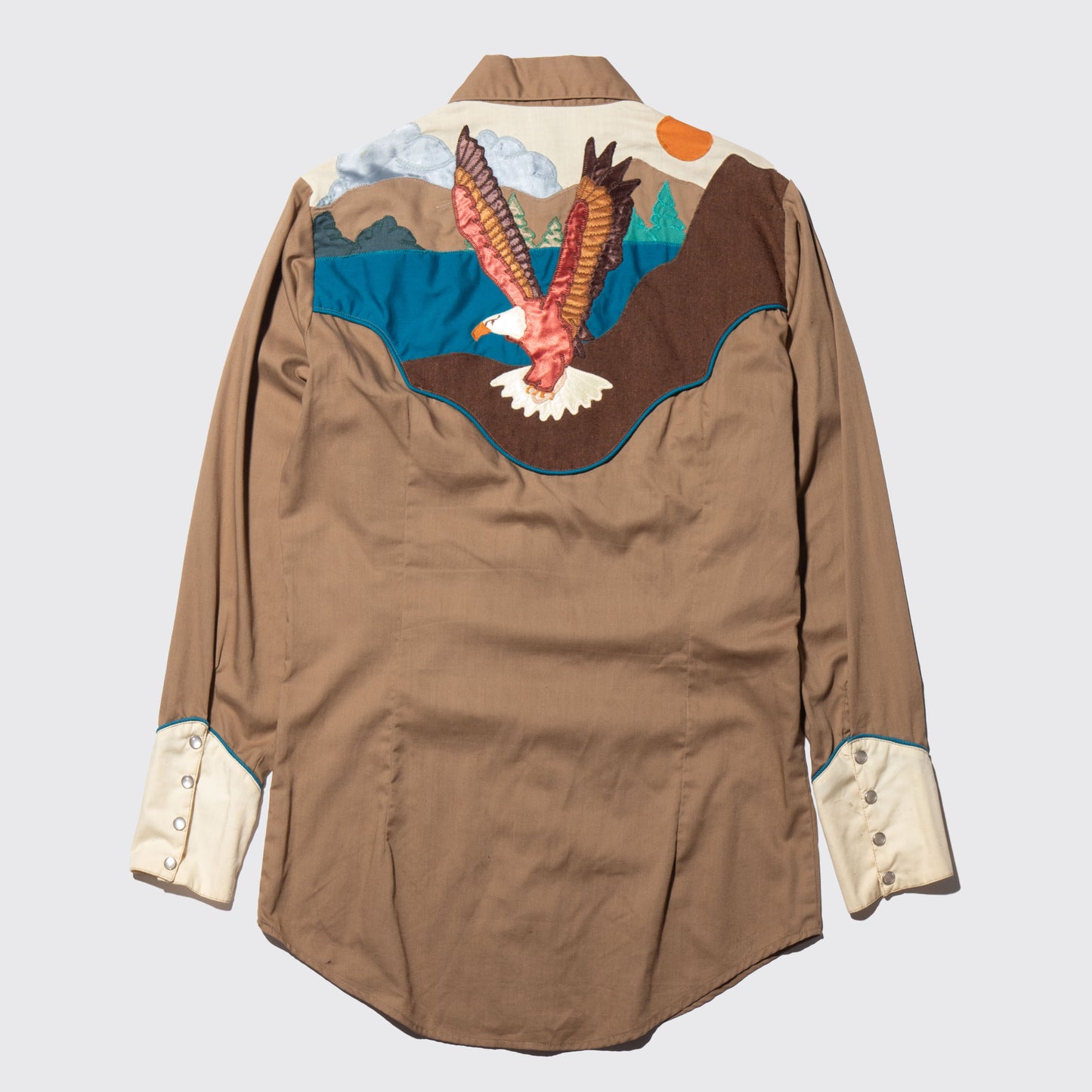 vintage falcon western shirt