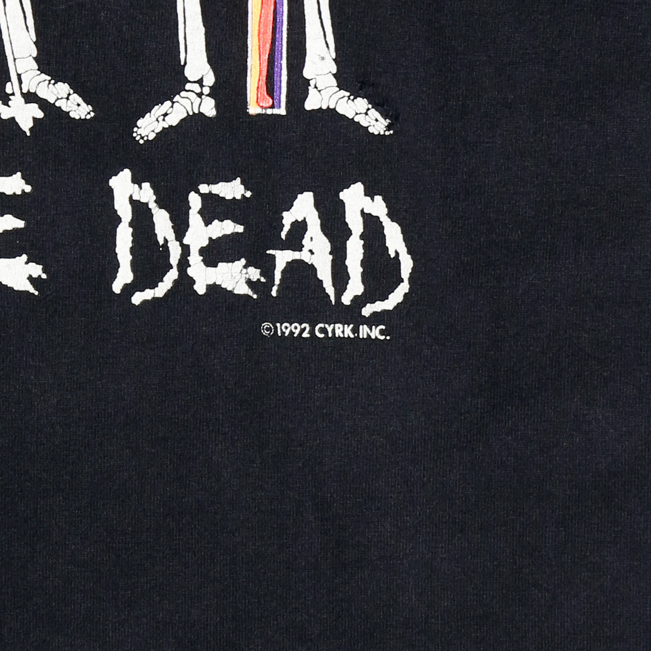 vintage 1992’s cyrk inc. “winter park” skull t-shirt