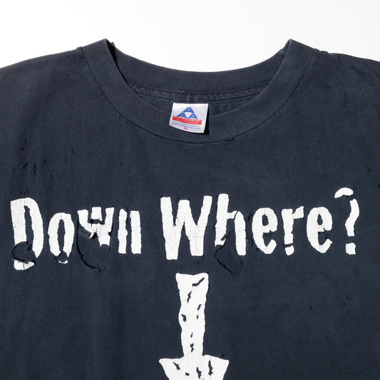 vintage 1998's WWF D-Generation "down where? down here?" broken n/s t-shirt