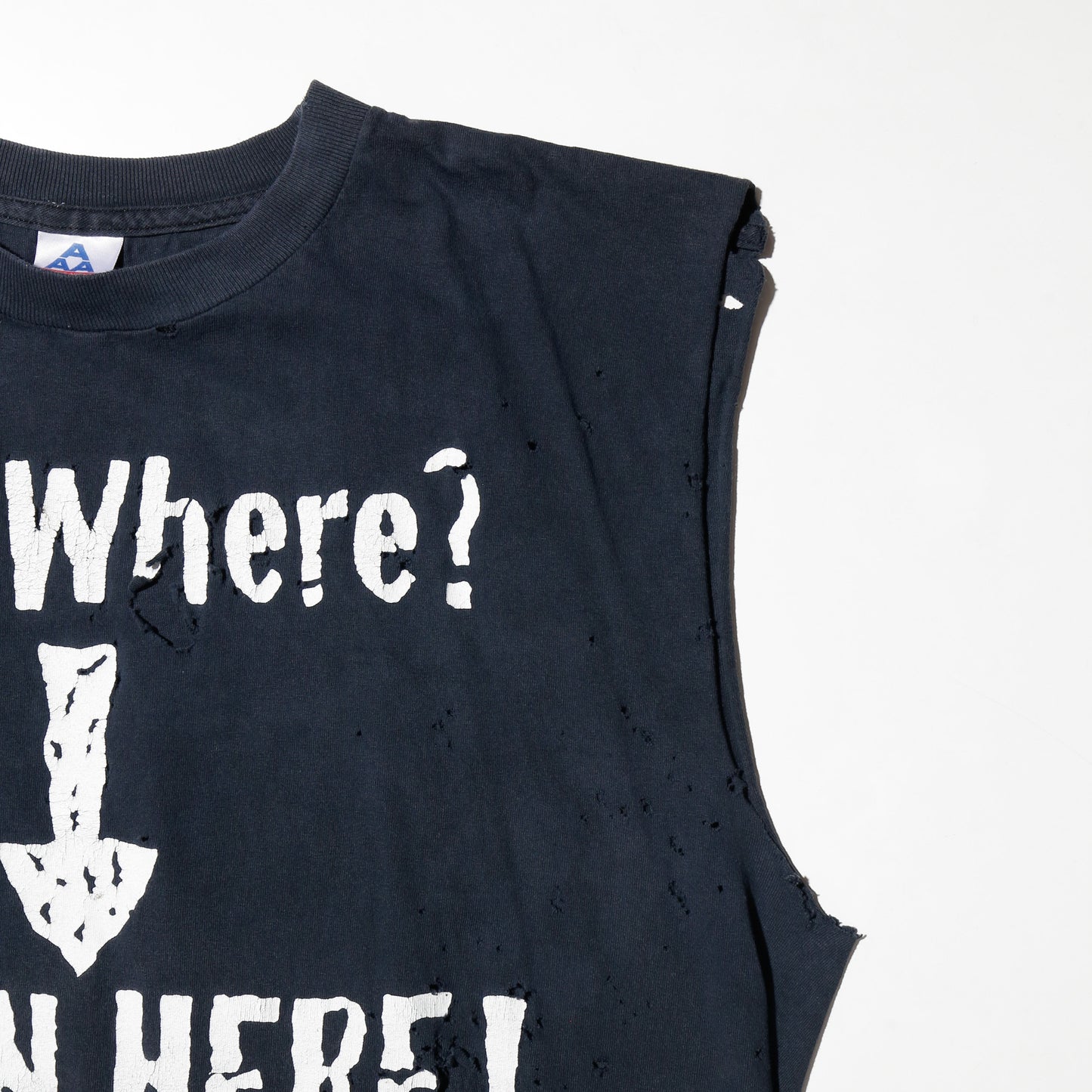 vintage 1998's WWF D-Generation "down where? down here?" broken n/s t-shirt