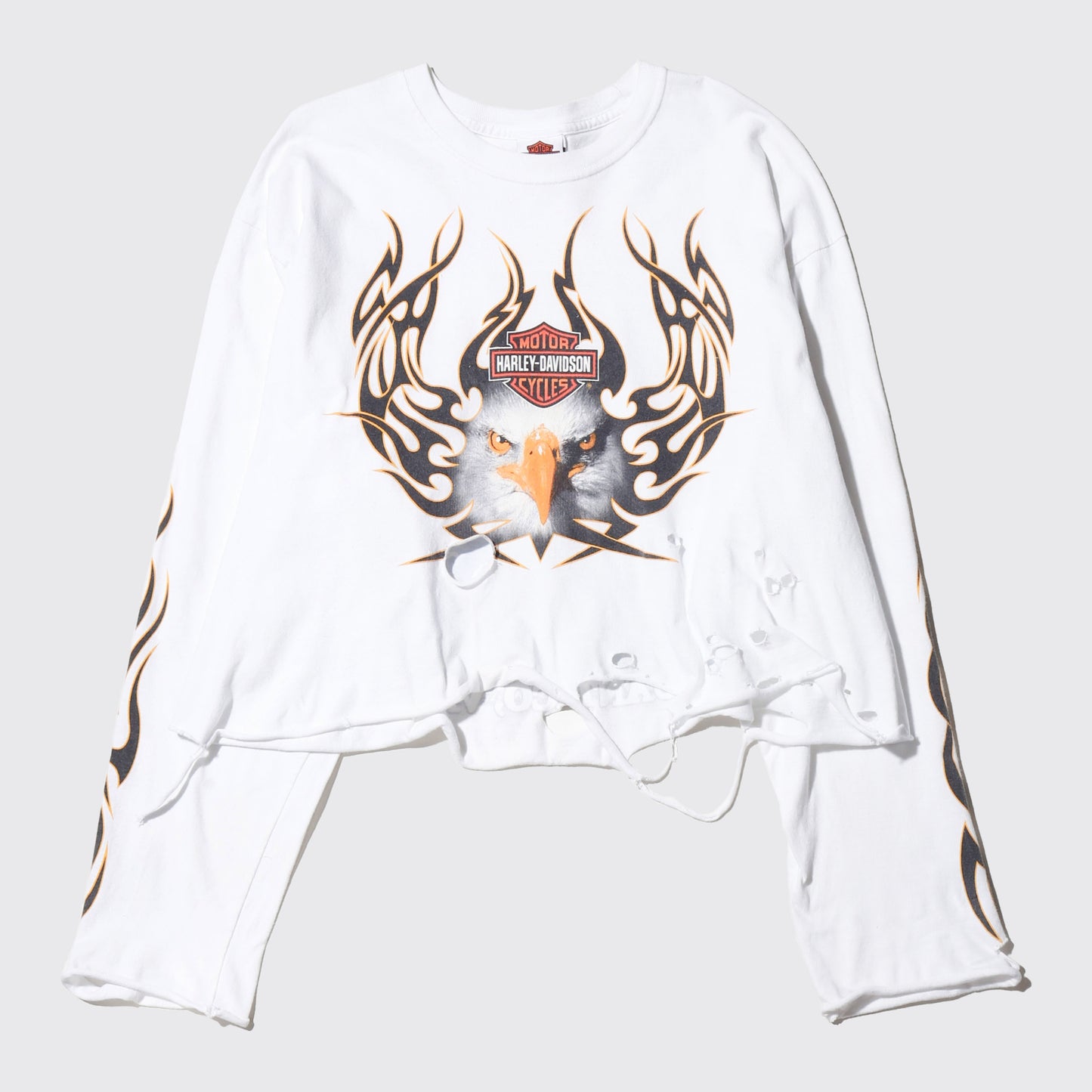 *one-off harley-davidson broken l/s