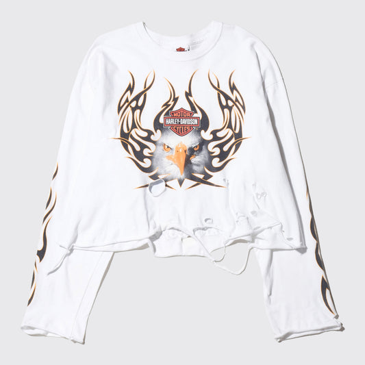 *one-off harley-davidson broken l/s