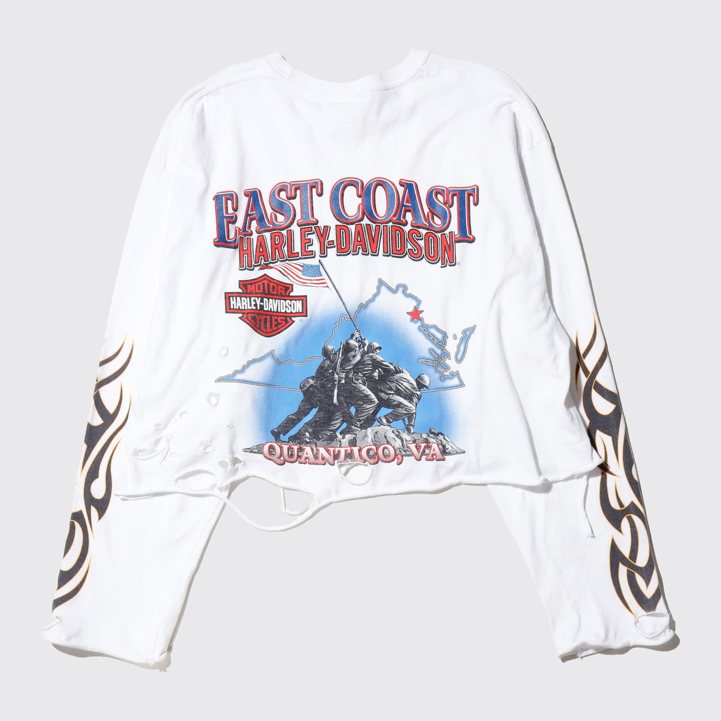 *one-off harley-davidson broken l/s