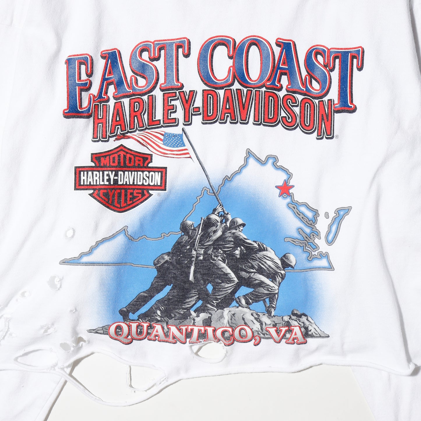*one-off harley-davidson broken l/s