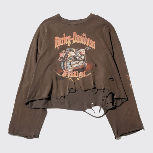 *one-off harley-davidson broken l/s