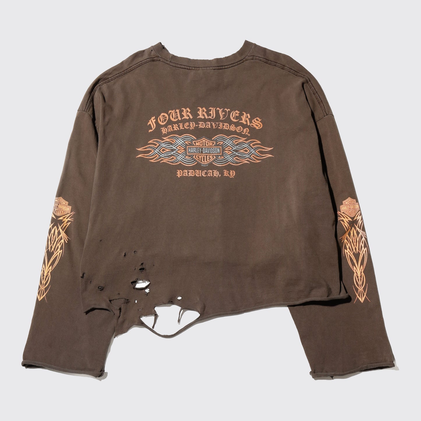 *one-off harley-davidson broken l/s