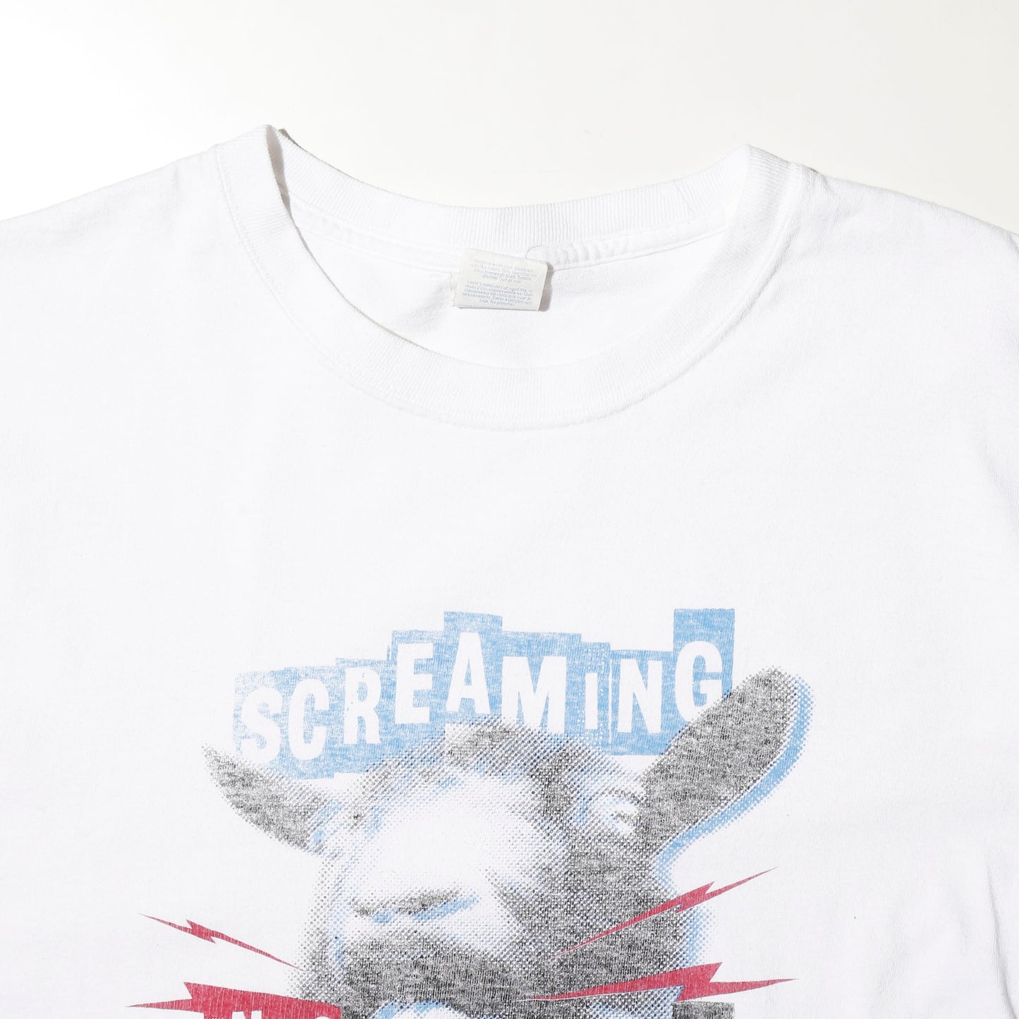 vintage "screaming into buttholes" t-shirt, *cut off
