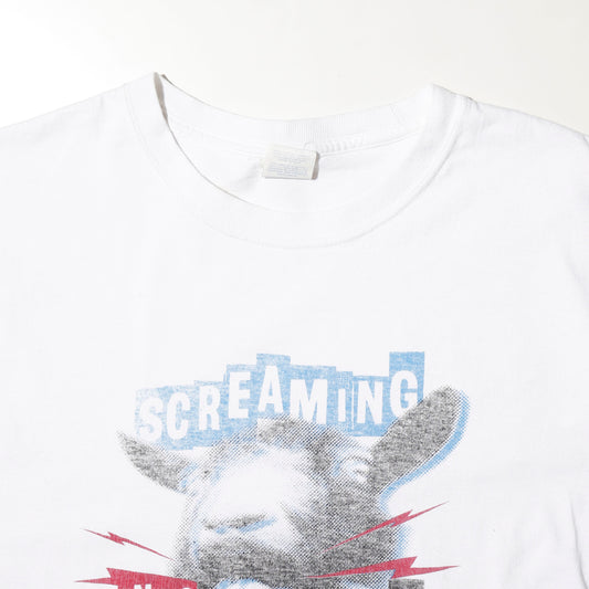 vintage "screaming into buttholes" t-shirt, *cut off