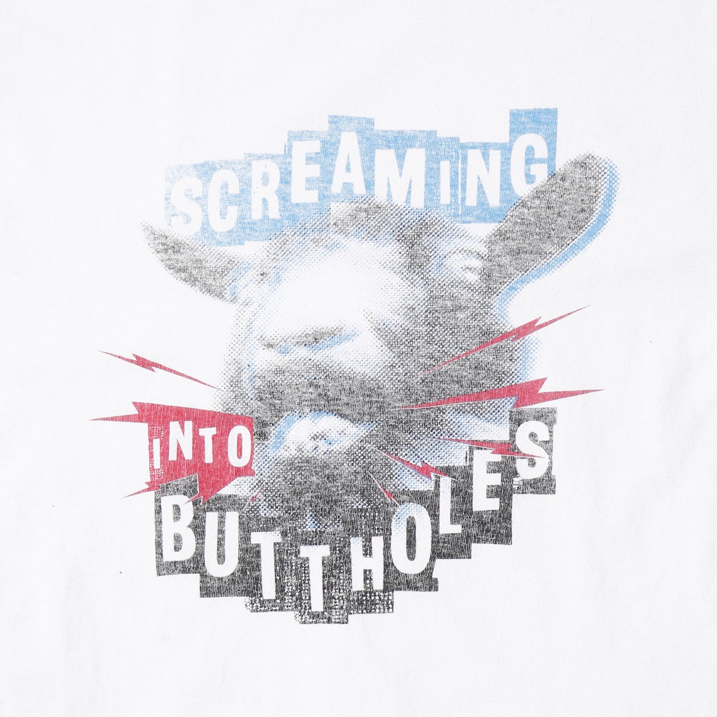 vintage "screaming into buttholes" t-shirt, *cut off