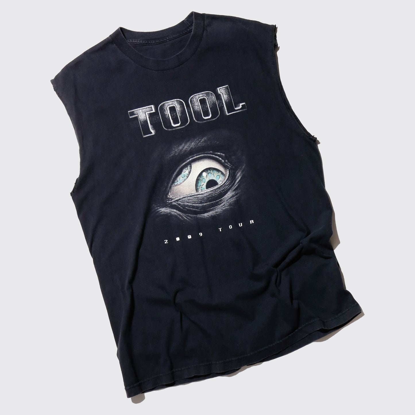 vintage 2009’s Tool tour n/s t-shirt