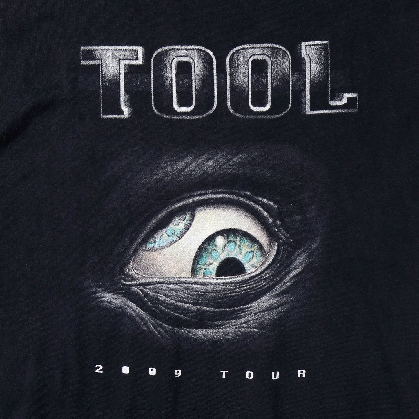 vintage 2009’s Tool tour n/s t-shirt