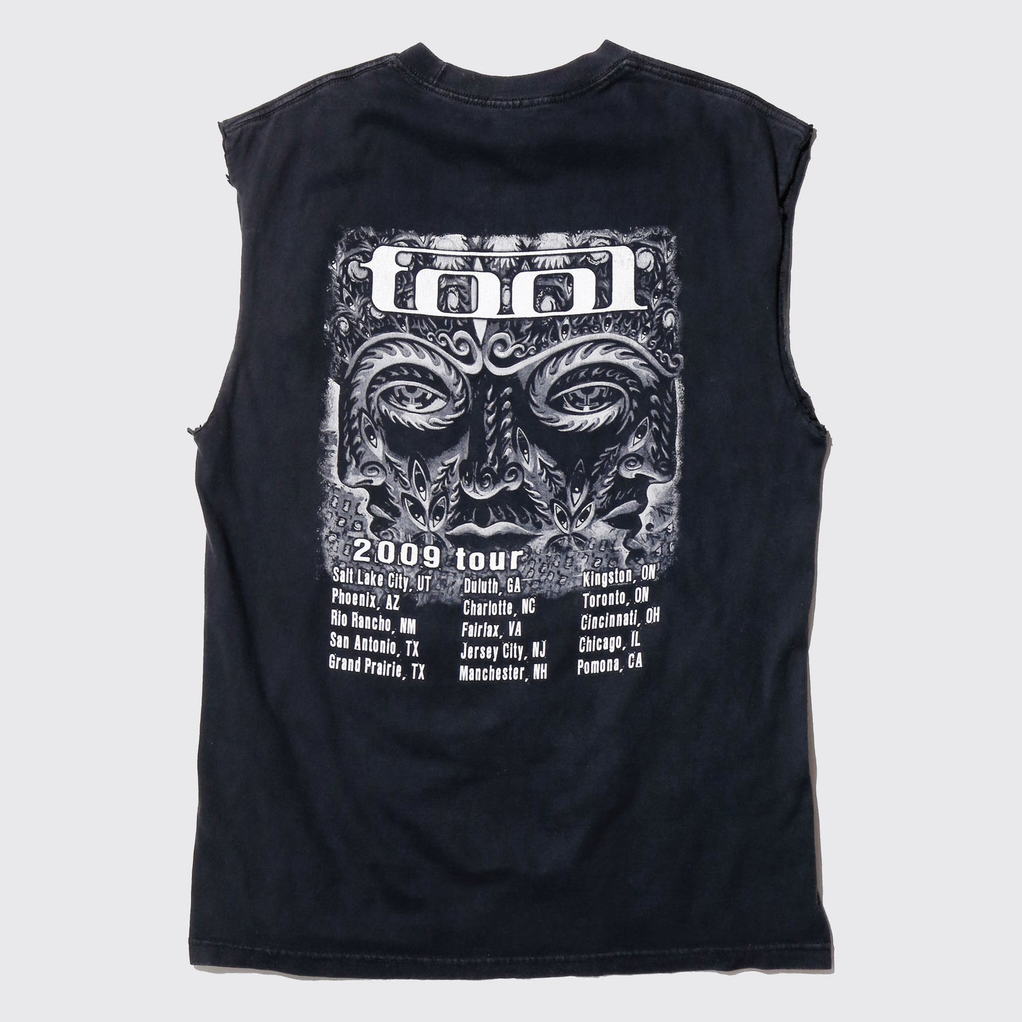 vintage 2009’s Tool tour n/s t-shirt